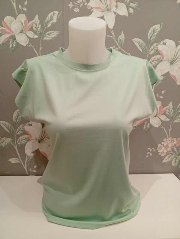 Camiseta Básica Colores